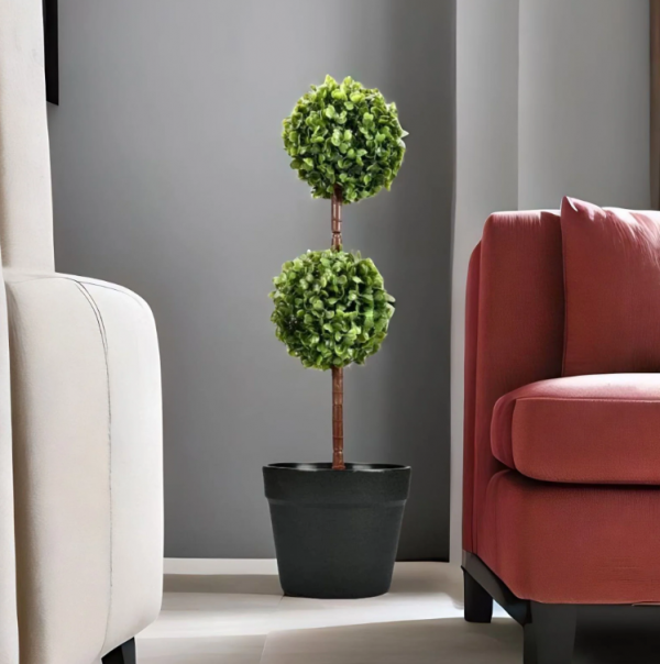 Topiari Tanaman Hias yang Khas